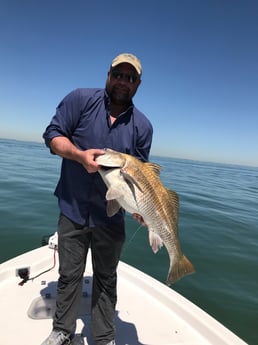 Black Drum fishing in League City, Texas