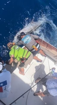 Black Marlin Fishing in Galveston, Texas