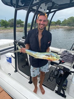 Mahi Mahi Fishing in Key Largo, Florida