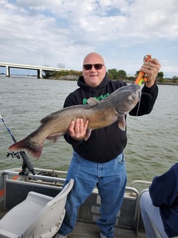Channel Catfish Fishing in Port Clinton, Ohio
