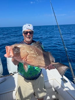 Red Grouper fishing in Sarasota, Florida