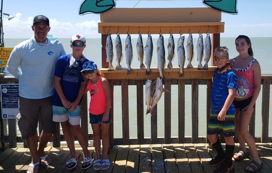 Speckled Trout / Spotted Seatrout, Hardhead Catfish fishing in Port Isabel, Texas