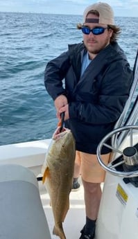 Redfish Fishing in Pensacola, Florida