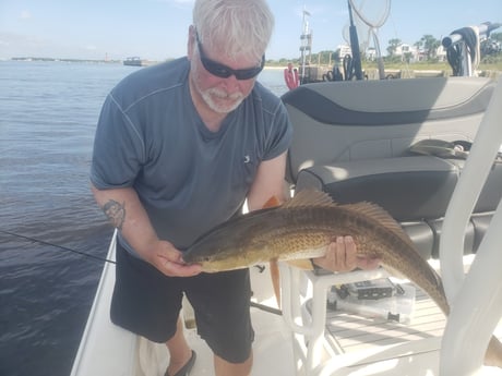 Redfish Fishing in New Smyrna Beach, Florida