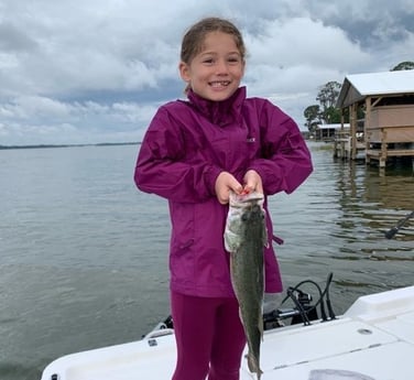 Largemouth Bass fishing in Clearwater, Florida