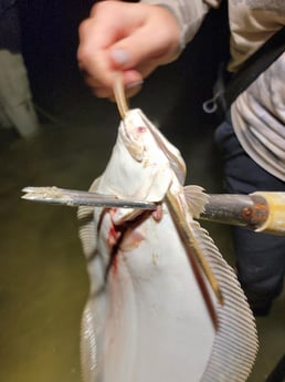 Flounder Fishing in Rio Hondo, Texas