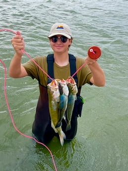 Speckled Trout Fishing in Corpus Christi, Texas