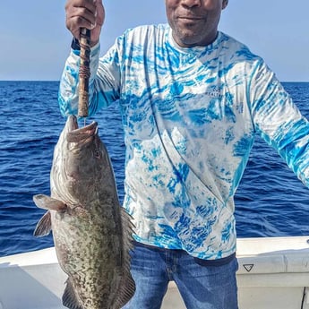 Gag Grouper fishing in Destin, Florida