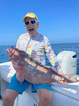 Red Grouper fishing in Sarasota, Florida