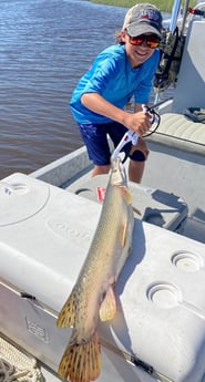 Alligator Gar fishing in Rockport, Texas