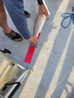 Redfish fishing in Rockport, Texas