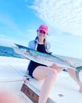 Cobia fishing in Gulf Shores, Alabama