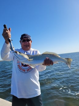 Speckled Trout / Spotted Seatrout fishing in Corpus Christi, Texas