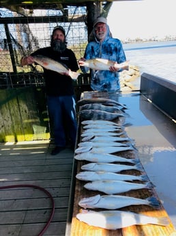 Black Drum, Redfish, Sheepshead, Speckled Trout / Spotted Seatrout fishing in Surfside Beach, Texas