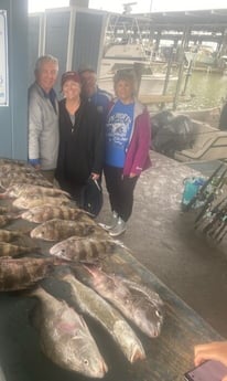 Black Drum, Sheepshead, Speckled Trout / Spotted Seatrout fishing in Galveston, Texas