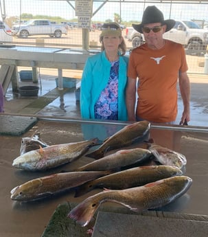 Redfish, Sheepshead fishing in Matagorda, Texas