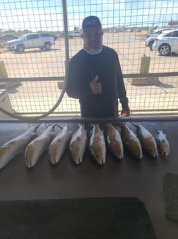 Redfish, Speckled Trout Fishing in Galveston, Texas