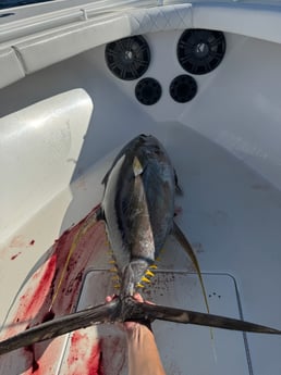 Fishing in Boothville-Venice, Louisiana