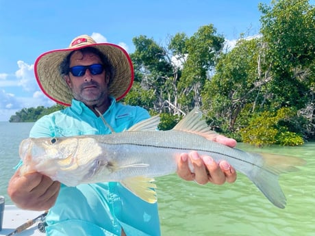 Black Grouper fishing in Tavernier, Florida