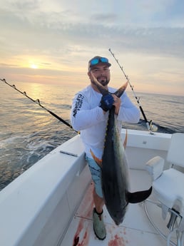 Yellowfin Tuna fishing in Fort Lauderdale, Florida