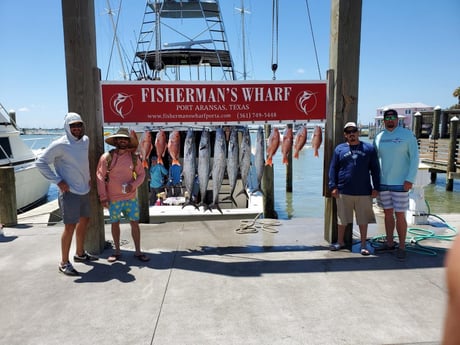 King Mackerel / Kingfish, Red Snapper fishing in Port Aransas, Texas