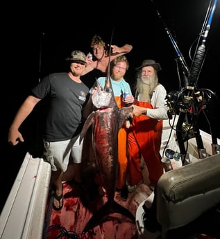 Swordfish Fishing in Pensacola, Florida