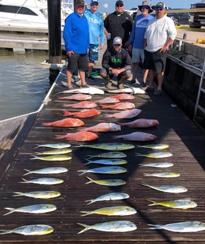 Mahi Mahi / Dorado, Red Snapper fishing in Surfside Beach, Texas