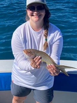 Yellowtail Snapper Fishing in West Palm Beach, Florida