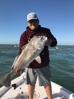 Black Drum fishing in League City, Texas