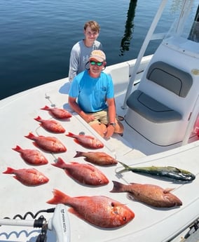 Mahi Mahi / Dorado, Red Snapper fishing in Panama City, Florida