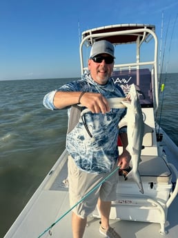 Blacktip Shark Fishing in South Padre Island, Texas