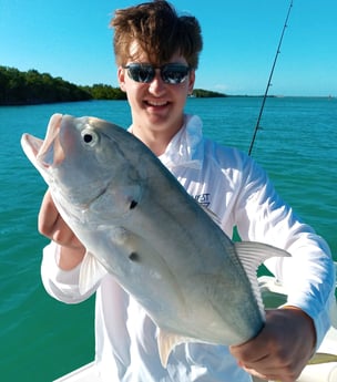 Jack Crevalle fishing in Key West, Florida