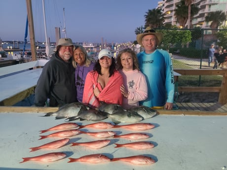 Triggerfish fishing in Orange Beach, Alabama