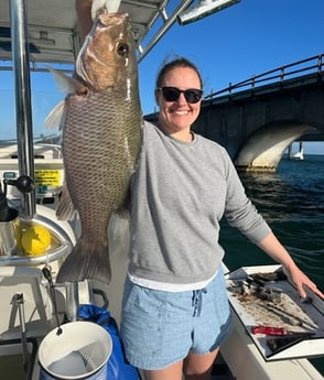 Mangrove Snapper Fishing in Marathon, Florida