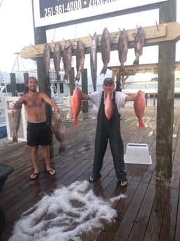 King Mackerel / Kingfish, Red Snapper fishing in Orange Beach, Alabama