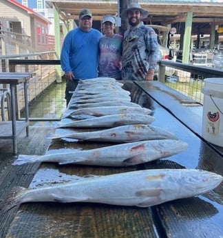 Speckled Trout / Spotted Seatrout fishing in Galveston, Texas