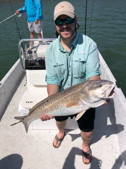 Black Drum, Redfish, Sheepshead, Speckled Trout / Spotted Seatrout fishing in Surfside Beach, Texas