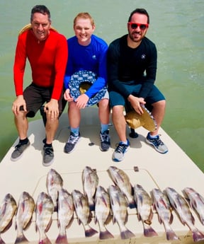 Black Drum fishing in South Padre Island, Texas