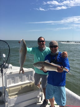 Redfish fishing in Texas City, Texas