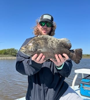 Tripletail fishing in St. Augustine, Florida