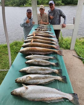 Fishing in Galveston, Texas