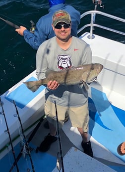 Gag Grouper fishing in Orange Beach, Alabama