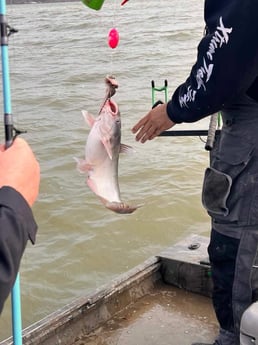 Fishing in Dallas, Texas