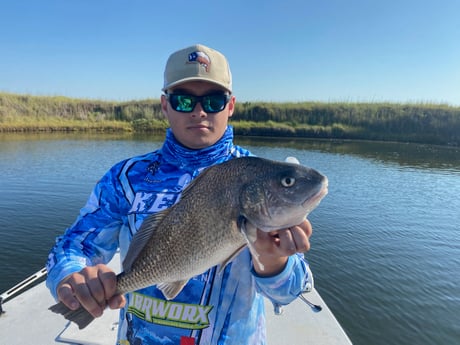 Black Drum fishing in Corpus Christi, Texas