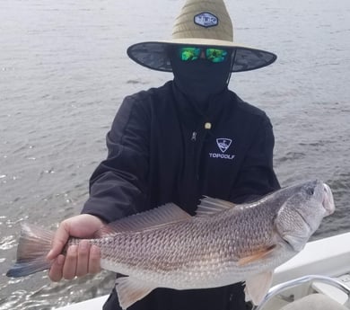 Redfish fishing in Sulphur, Louisiana