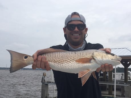 Redfish fishing in Charleston, South Carolina