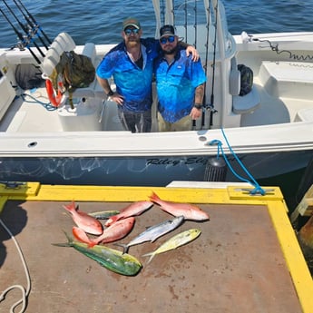 Mahi Mahi, Red Snapper, Spanish Mackerel Fishing in Panama City, Florida
