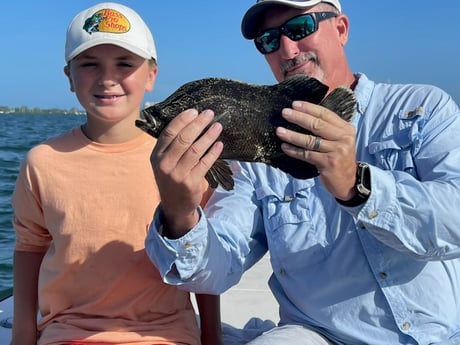 Tripletail Fishing in Sarasota, Florida