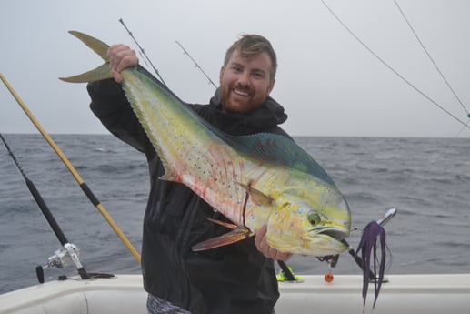 Mahi Mahi / Dorado fishing in Galveston, Texas