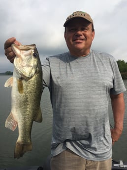 Largemouth Bass fishing in Austin, Texas